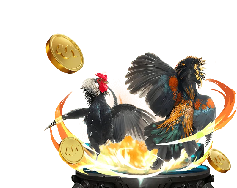 Xem trực tiếp đá gà chất lượng cao