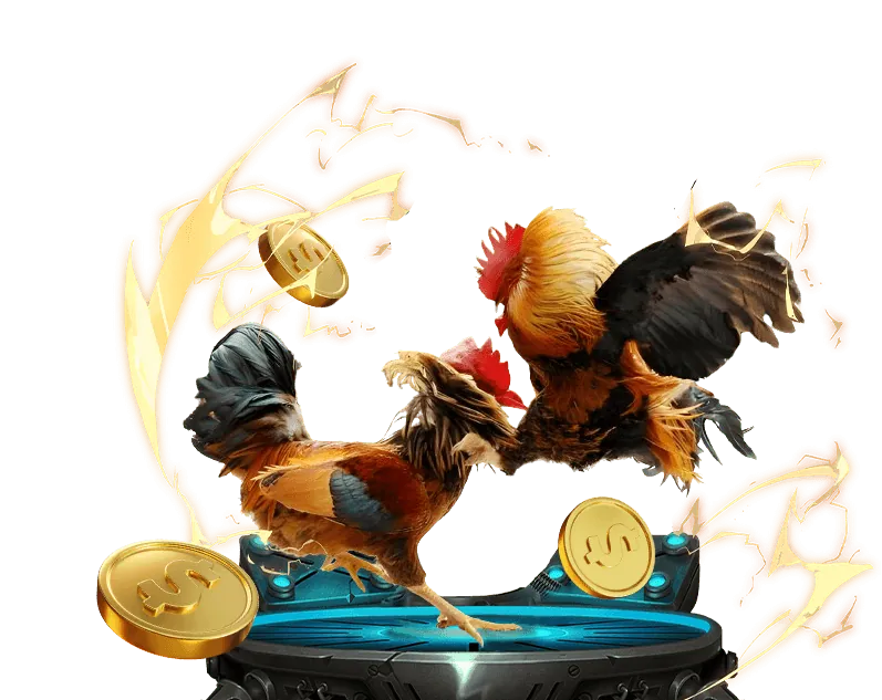 Tỷ lệ cược cao tại đá gà trực tiếp 68